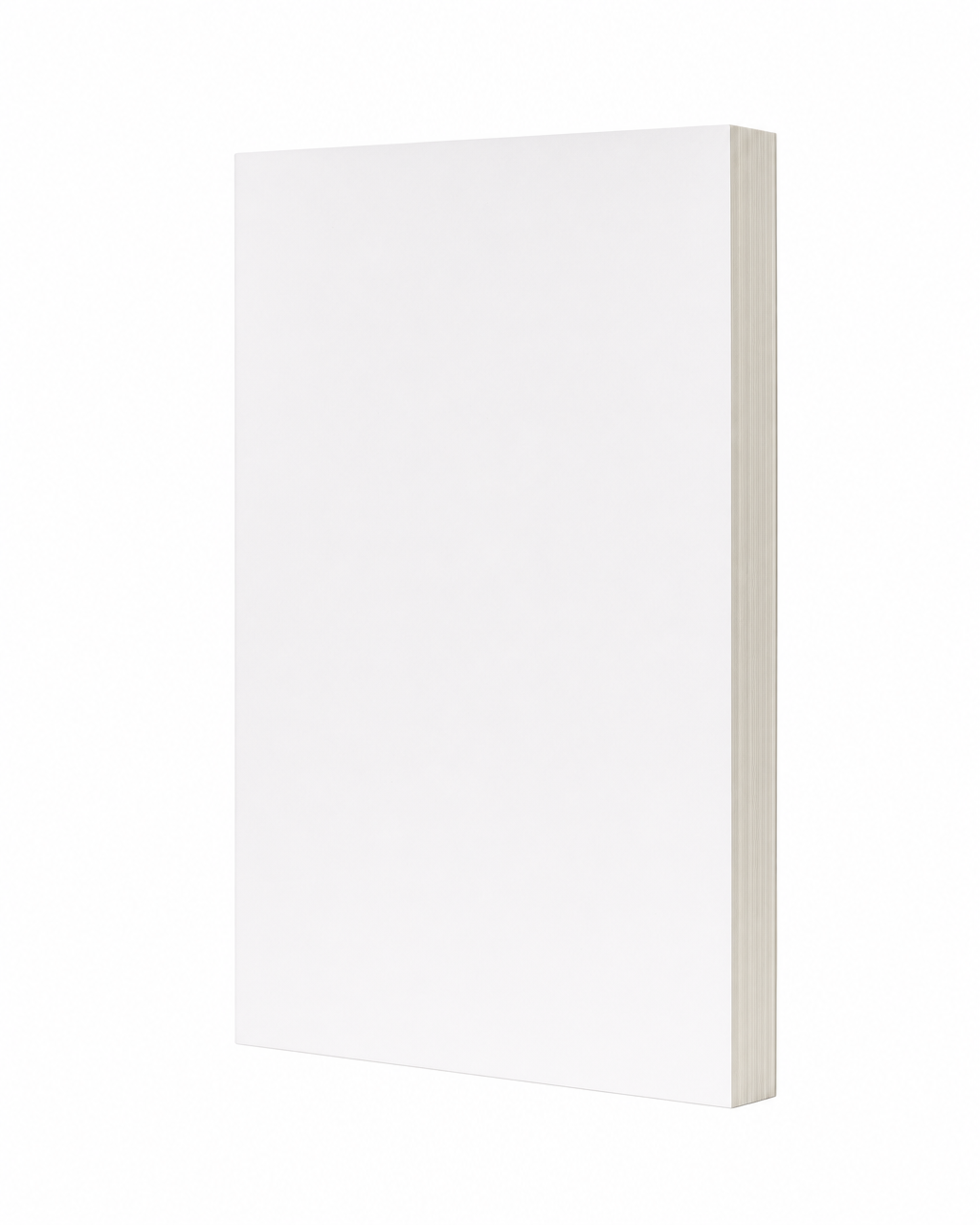 Blank medium book, Three-quarter angle